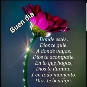 Meet your Posher, Vielka